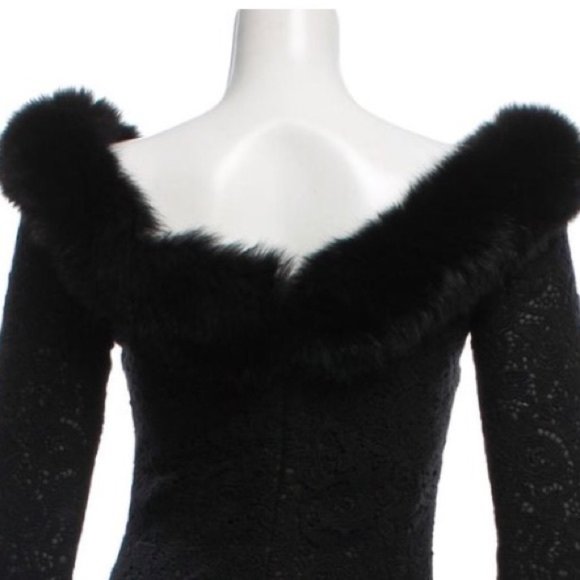 NWT PAMELLA ROLAND Mink Fur-Trimmed Formal Dress - Picture 5 of 7